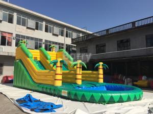 Wholesale Kids Inflatable Water Slides from china suppliers