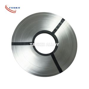 Anti Oxidation Nicr Alloy NiCr8020 Heating Element Strip