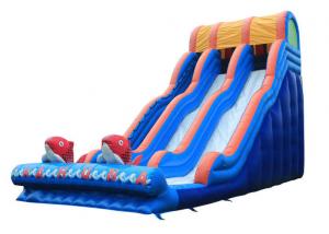 Wholesale Large Inflatable Slide Inflatable Water Slide  Party Slide For Kids and Adults from china suppliers