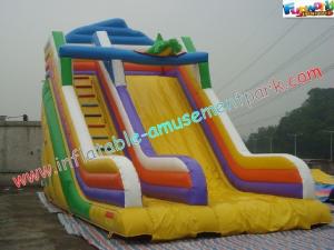 Wholesale Customized Commercial Inflatable Water , Giant Inflatable Jumper Slide Toys from china suppliers