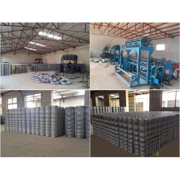 Hot Dipped Galvanized Tightlock Wire Mesh Security Fence Netting For Deer Fence