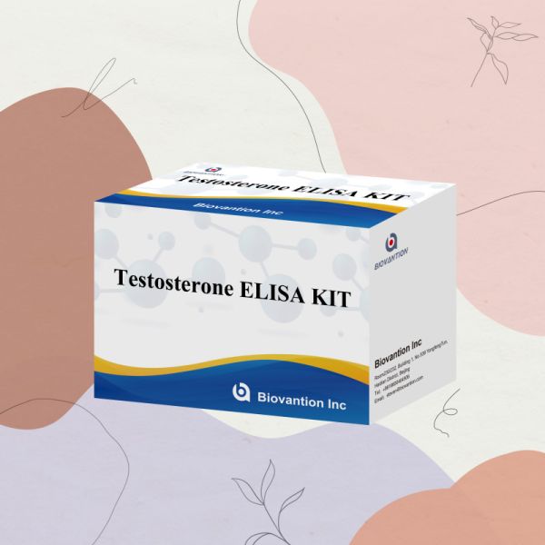 Serum plasma Specimen Elisa human detect reagent Test0sterone Quantitative Elisa kit