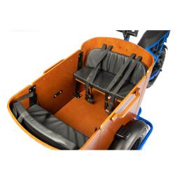 China 7 Speed Gears and Aluminum Frame Safe Electric Tricycles for Family Cargo Transport for sale