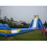 Commercial Giant Inflatable Slide for Sale for sale