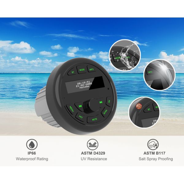 Marine audio system