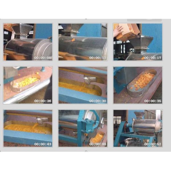 Puree Pulper Refienr Industrial Juice Extractor Machines Fruit Seed Sepration
